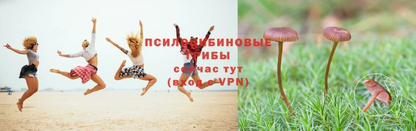 мдпв Каменка
